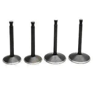 Harley-Davidson Street 750 Valve Set Of 4