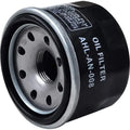 Apachi Rr 310 BMW 310r oil filter