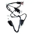 Wiring Harness for Hero Karizma – Electric Start 2003 Model