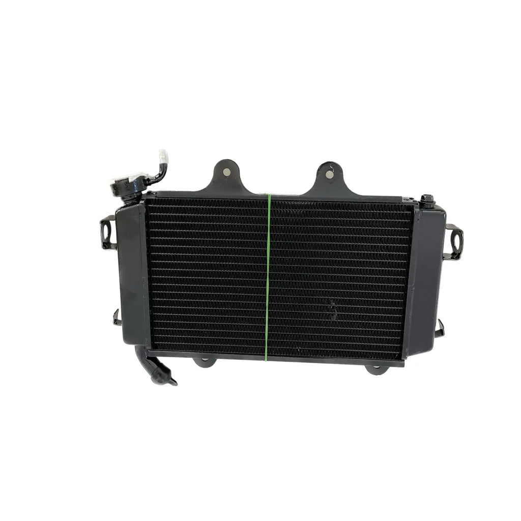 Duke 200 bs3/bs4 radiator assembly KTM