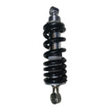 Benelli 302r rear suspension