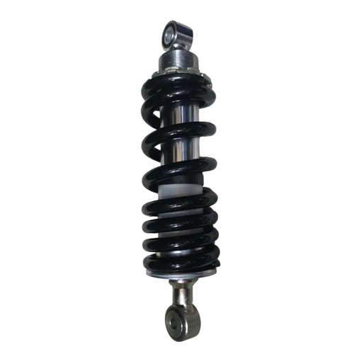 Benelli 302r rear suspension