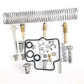Carburetor Repair Kit for Bajaj Pulsar 220 – Avenger 220