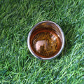 Harley-Davidson sportster iron 883 and 48 indicator lens