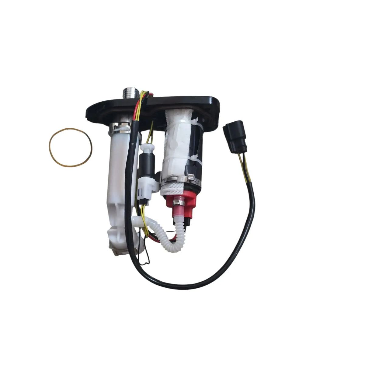 Harley-Davidson 48 fuel pump assembly