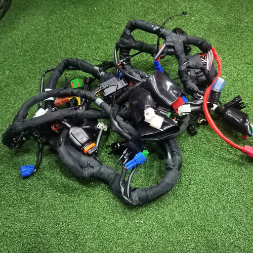 Bajaj Pulsar Rs200 Main Wiring Harness (ABS) Dt402220