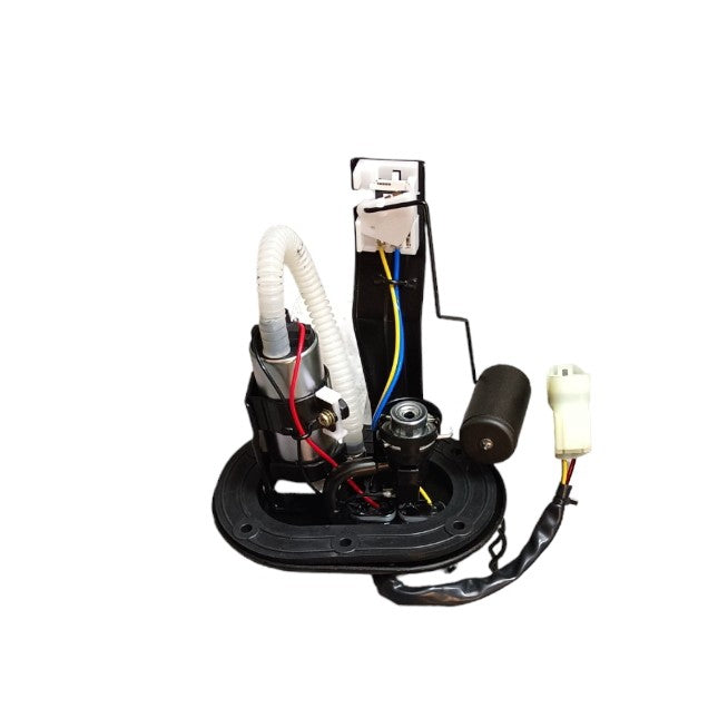 KTM Duke 200 Fuel Pump Assembly