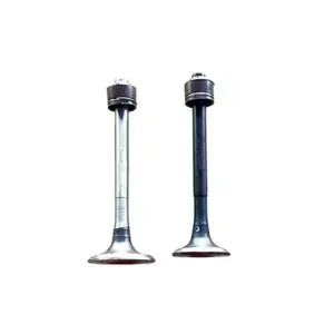 Engine Valve Set for Bajaj Pulsar 200 UG3 – 2 Valves with seal