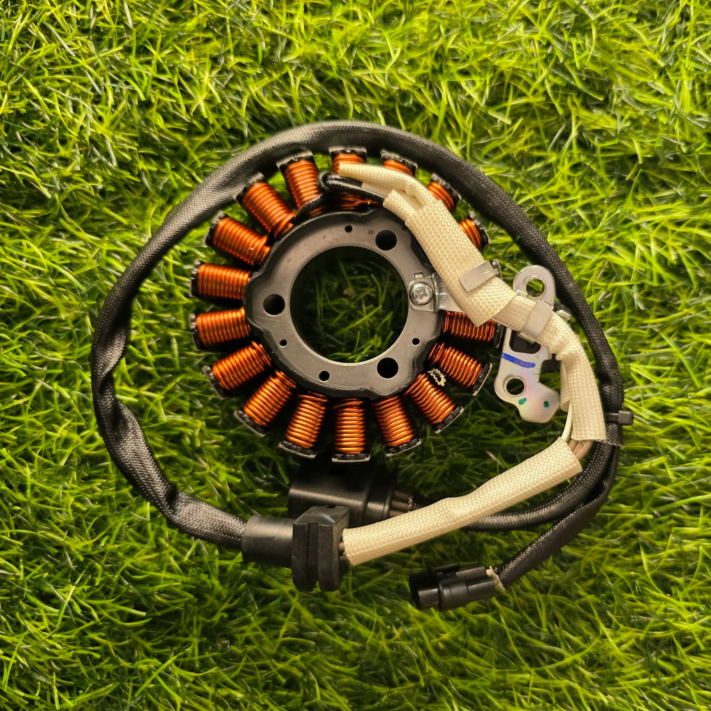BMW g310 and gs310 meganet coil assembly