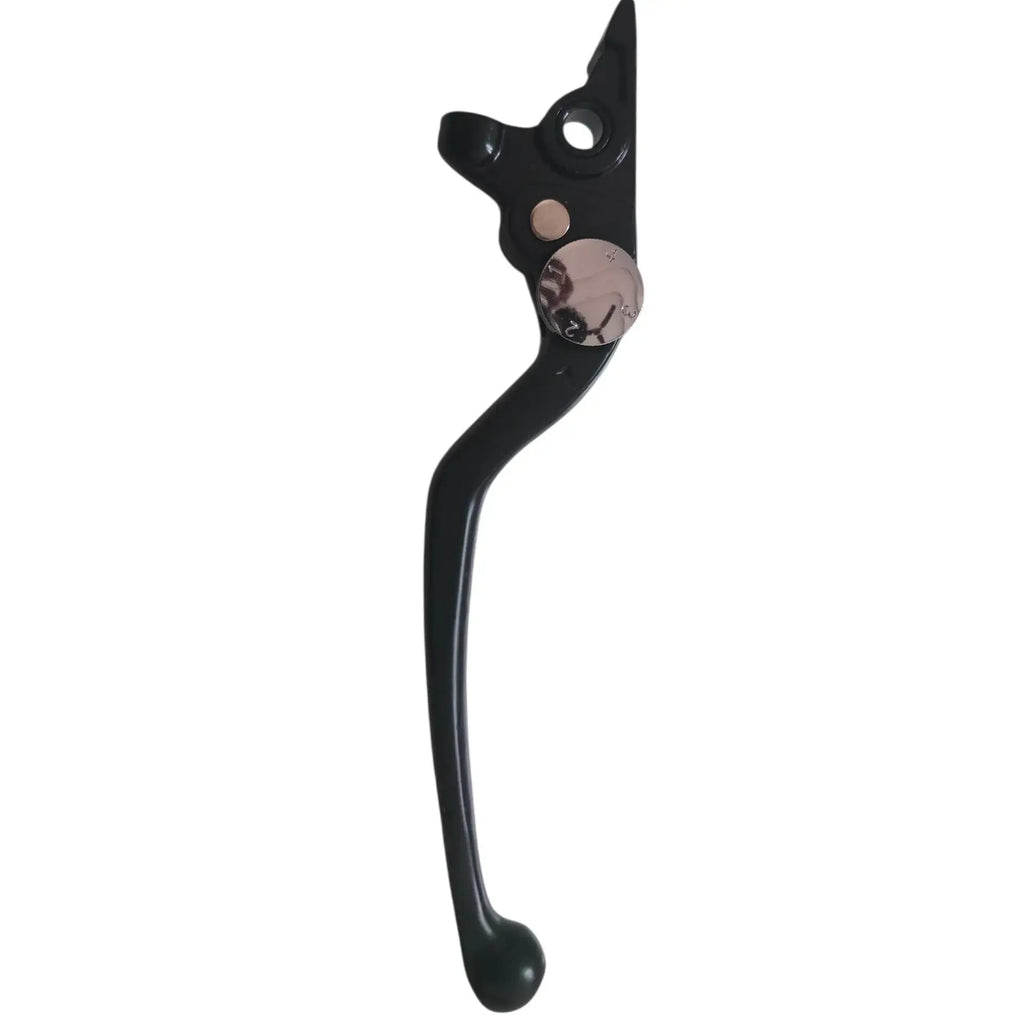 BMW gs310 brake liver