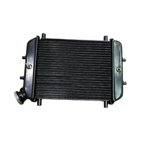 Jawa 42 Radiator Assembly